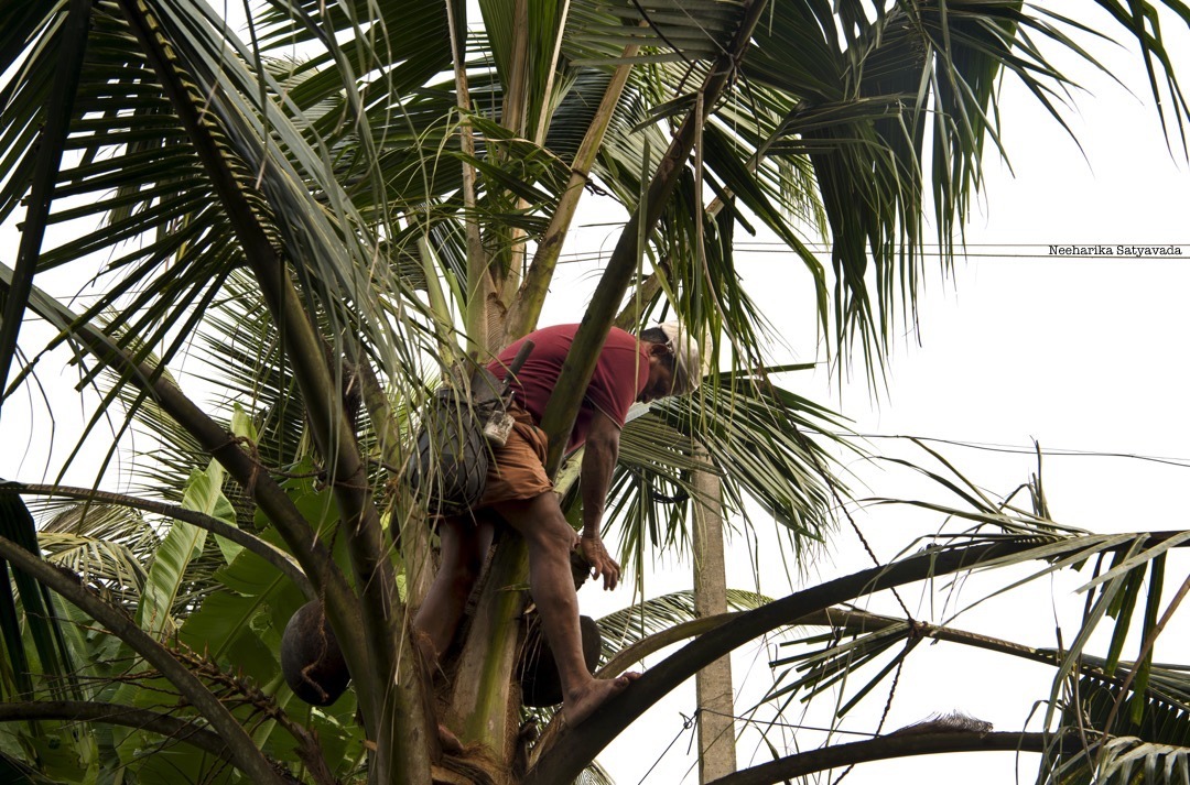 Kerala Village Life Experience_Kumarakom