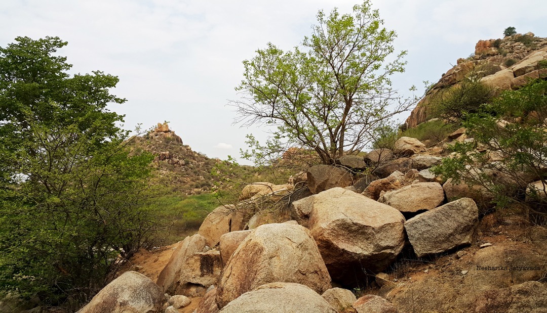 8 Tourist Places near Hyderabad within 100 Kms