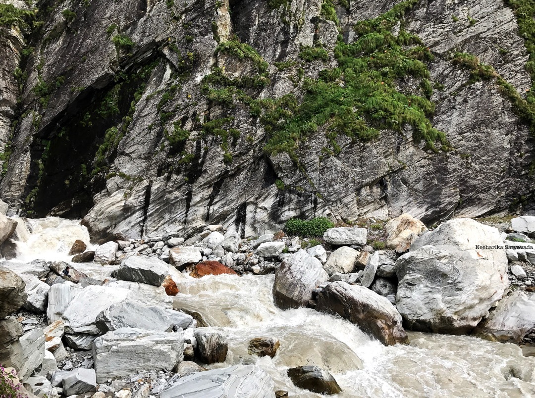 valley of flowers_9.jpg