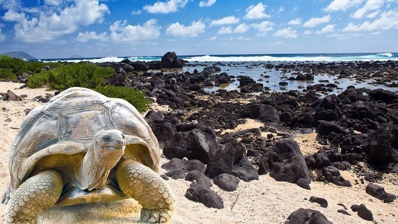 Travel Wishlist: 10 Off-Beat Countries to Visit in 2020
