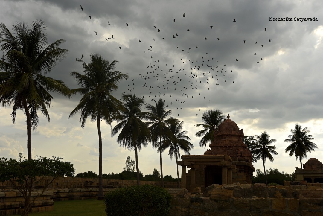 Chola Temples_Gangaikonda Cholapuram_7